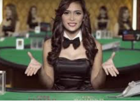 天庭娱乐3621官网版正式版