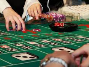 天庭娱乐3621官网版2024最新版